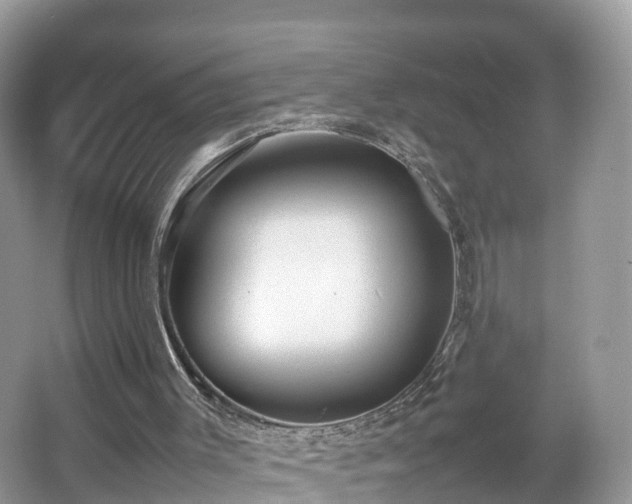 X0000067480003200604101241