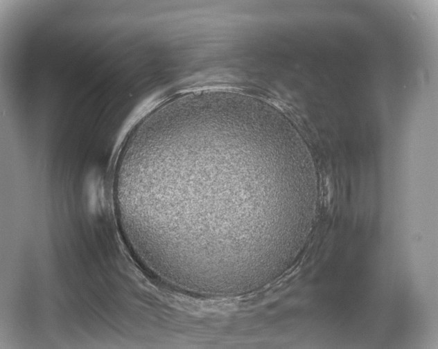 X0000067480004200604101241