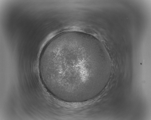 X0000067480006200604101241