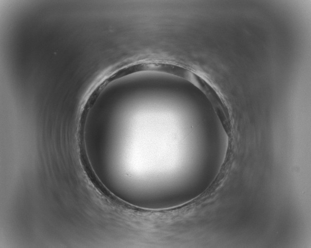 X0000067480007200604101241