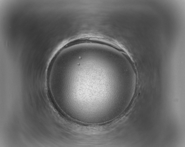 X0000067480008200604101241