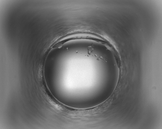 X0000067480009200604101241