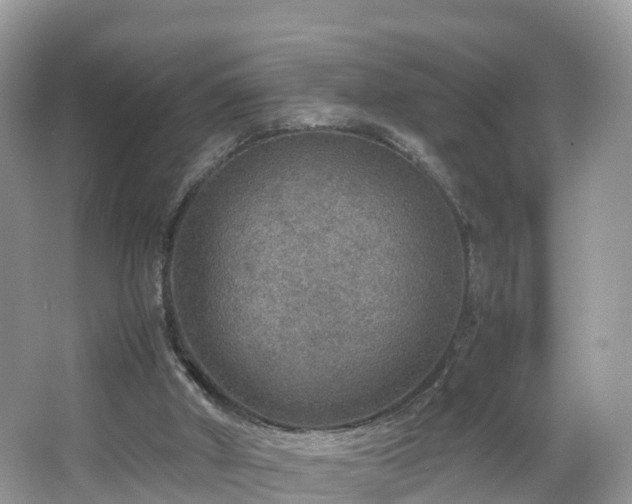 X0000067480010200604101241