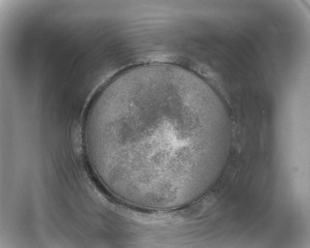 X0000067480012200604101241