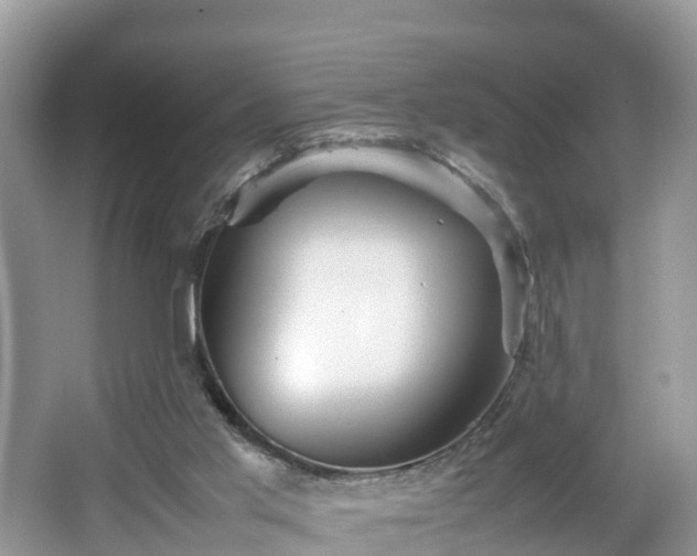 X0000067480013200604101241