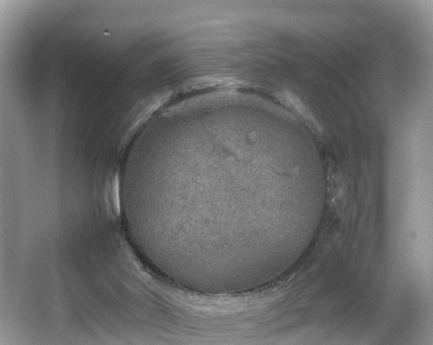 X0000067480014200604101241