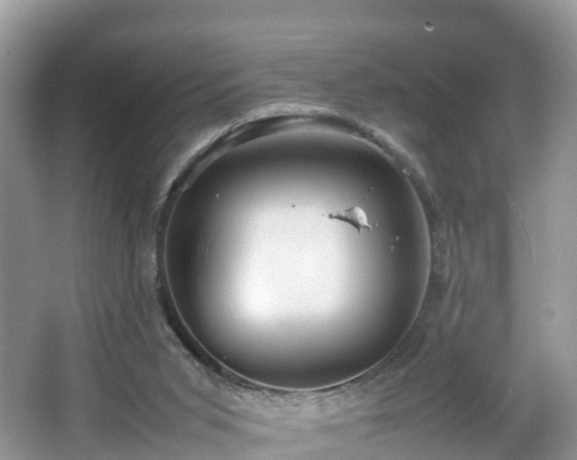 X0000067480015200604101241