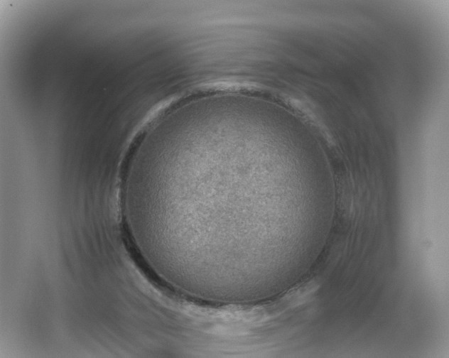 X0000067480016200604101241