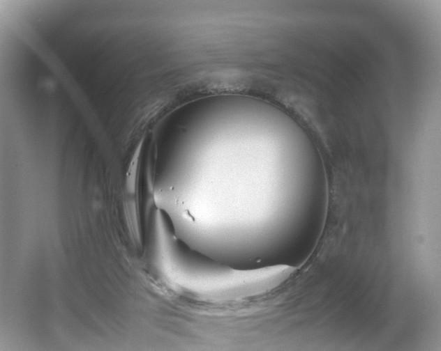 X0000067480017200604101241