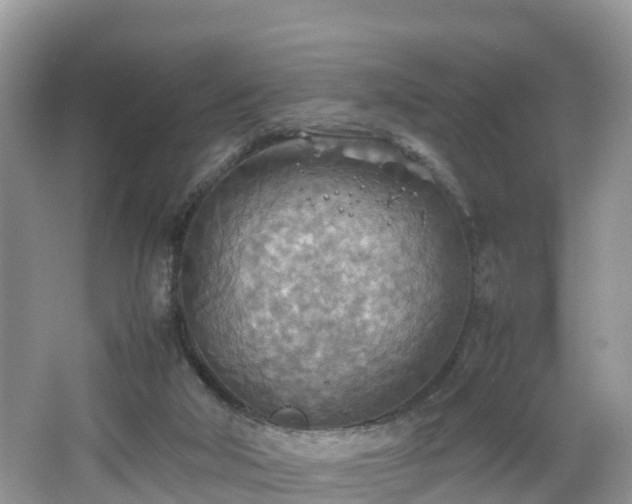 X0000067480018200604101241