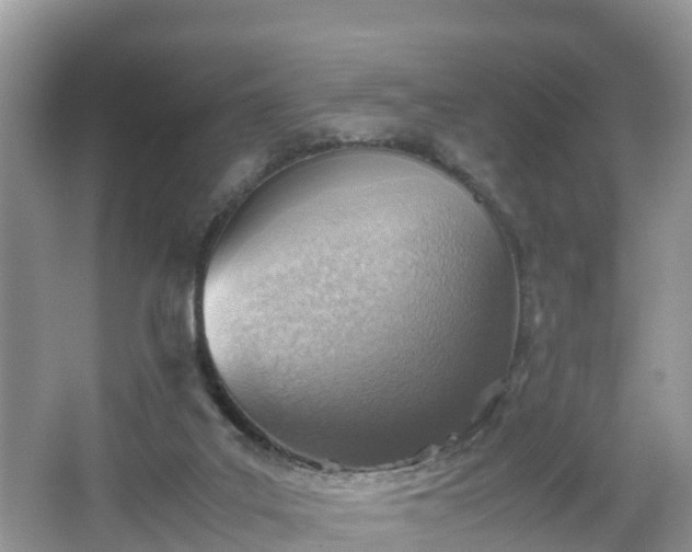 X0000067480019200604101241