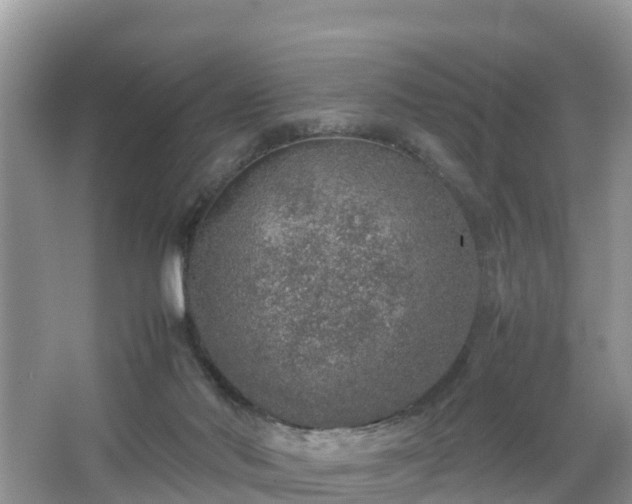 X0000067480022200604101241