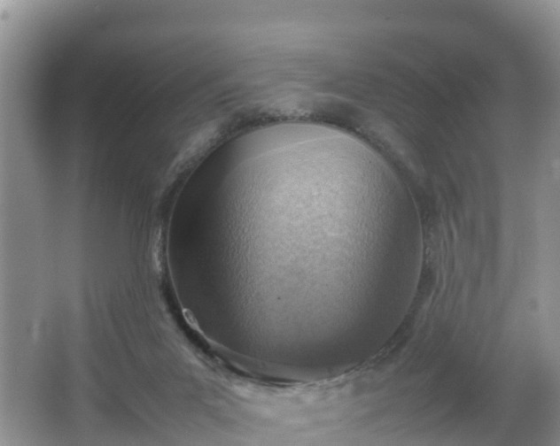 X0000067480023200604101241