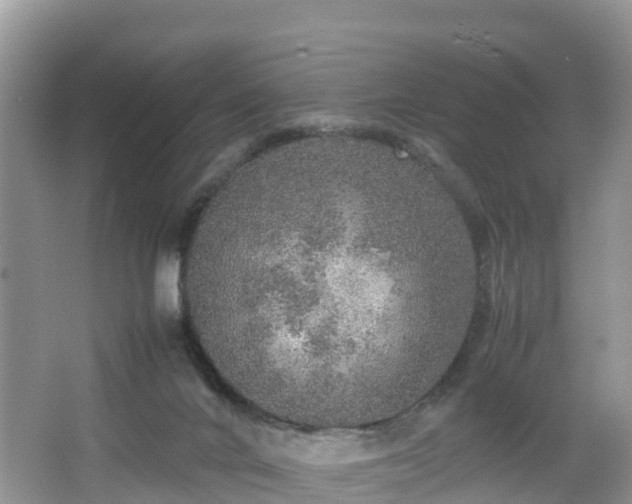 X0000067480024200604101241