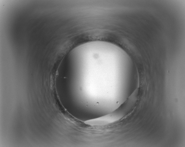 X0000067480025200604101241