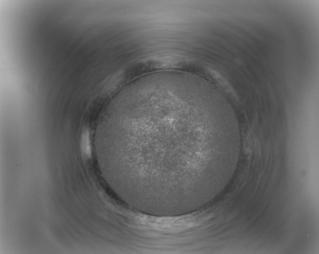 X0000067480026200604101241