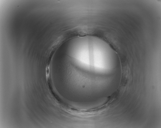 X0000067480027200604101241