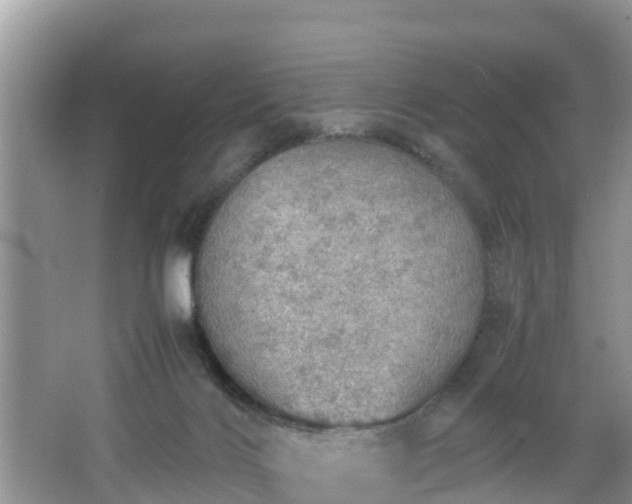 X0000067480028200604101241