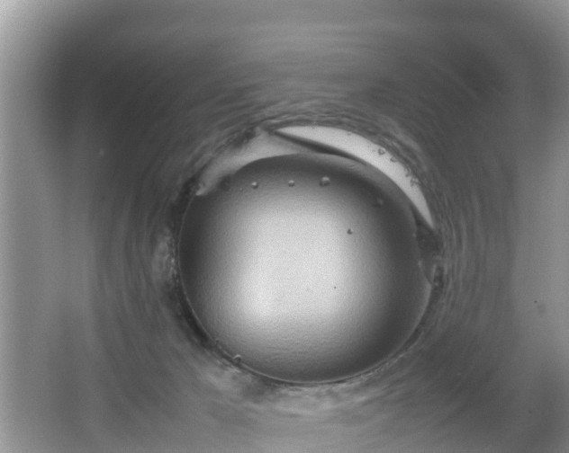 X0000067480029200604101241