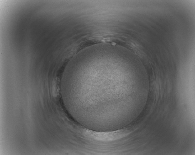 X0000067480030200604101241