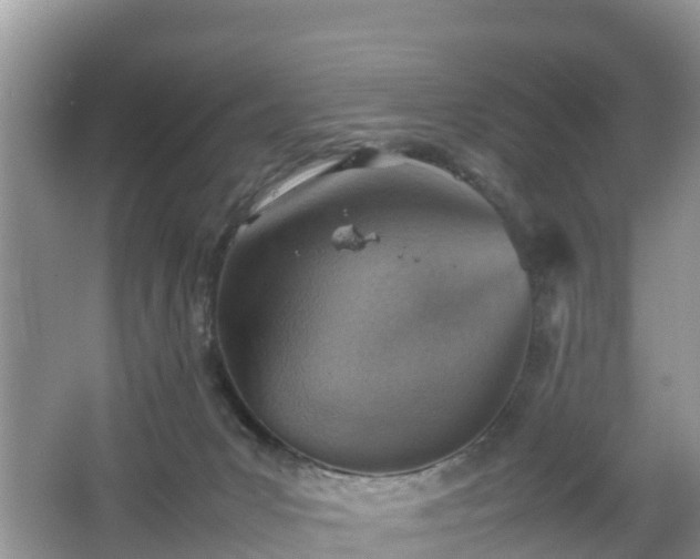 X0000067480031200604101241