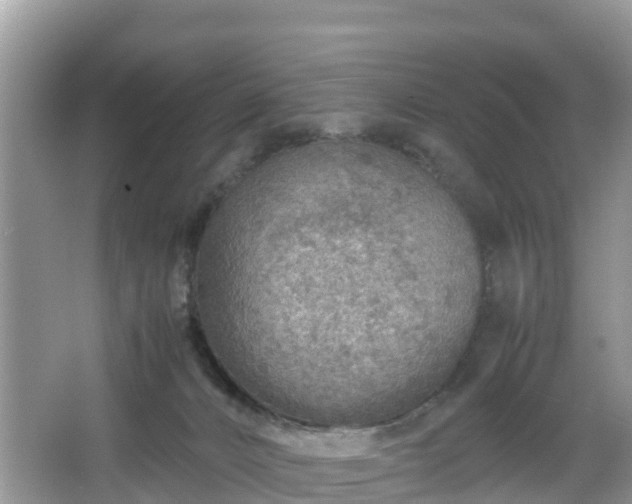 X0000067480032200604101241