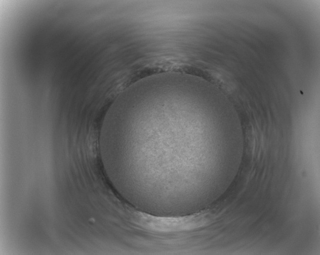 X0000067480034200604101241