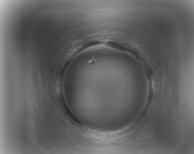 X0000067480035200604101241