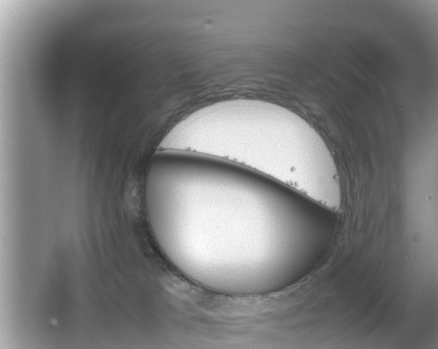 X0000067480037200604101241