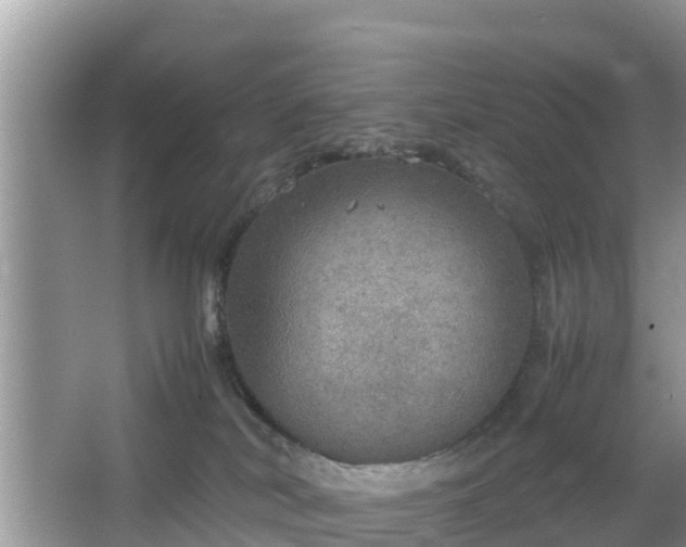 X0000067480038200604101240