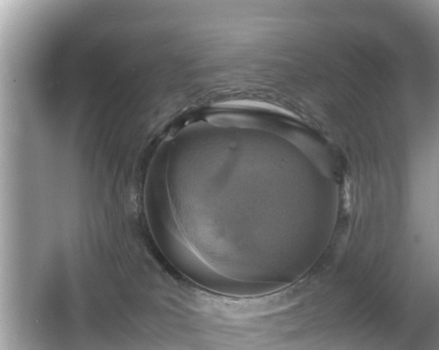 X0000067480039200604101240