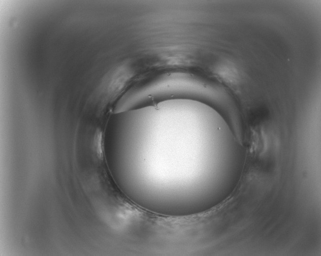 X0000067480041200604101240