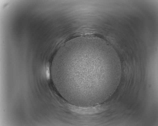 X0000067480042200604101240