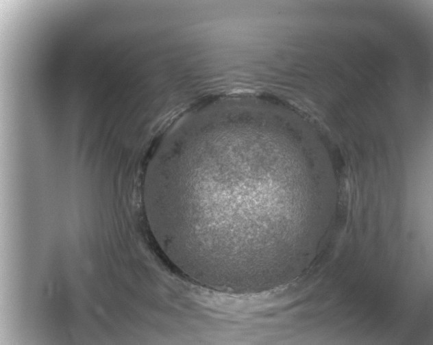 X0000067480043200604101240