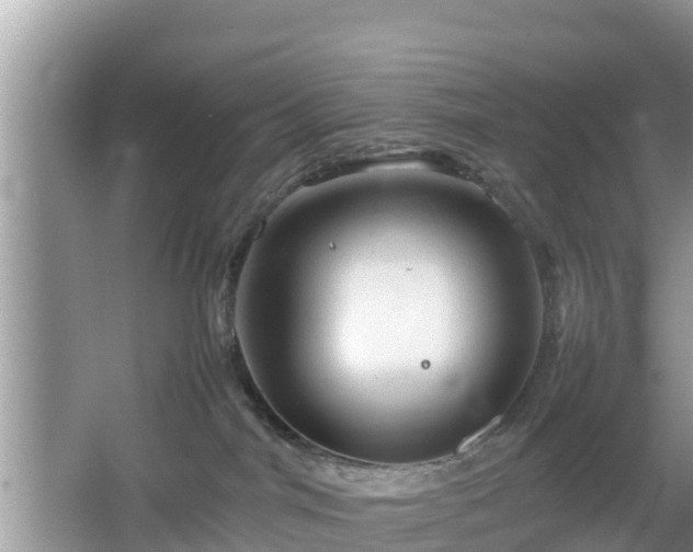 X0000067480044200604101240