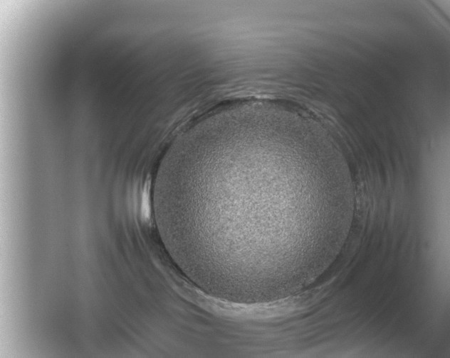 X0000067480046200604101240