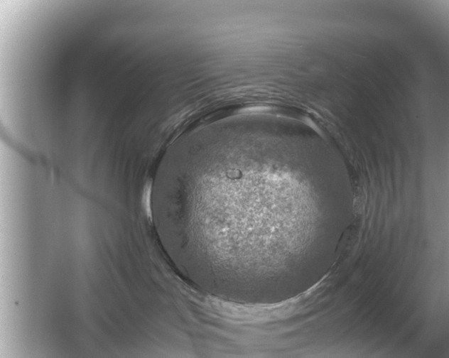 X0000067480047200604101240