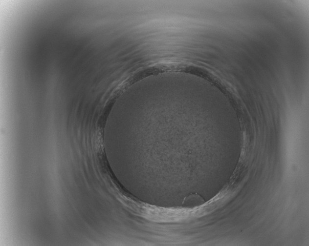 X0000067480048200604101240