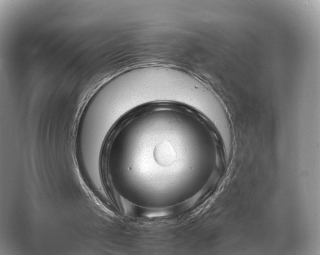 X0000067480049200604101240