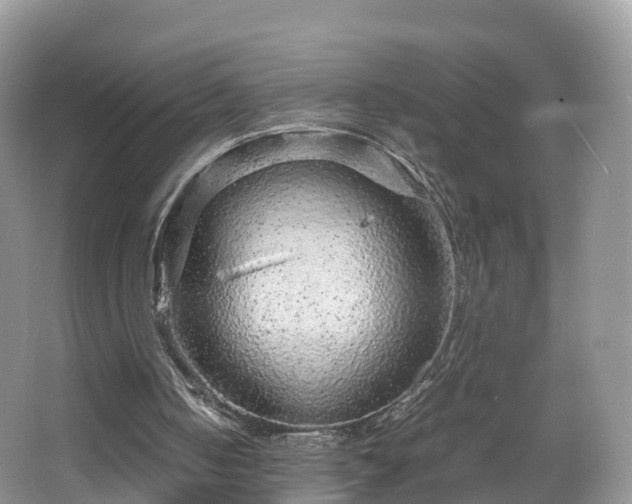 X0000067480050200604101240