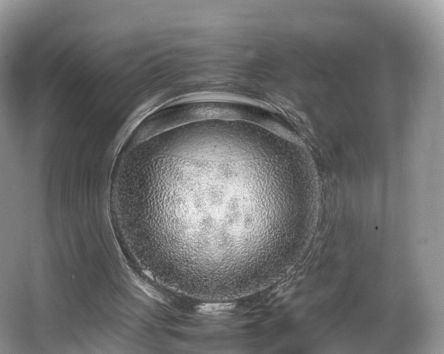 X0000067480051200604101240