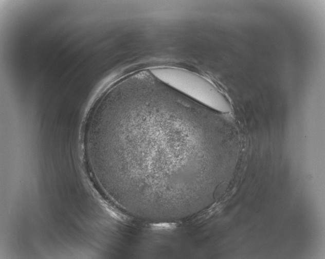 X0000067480053200604101240