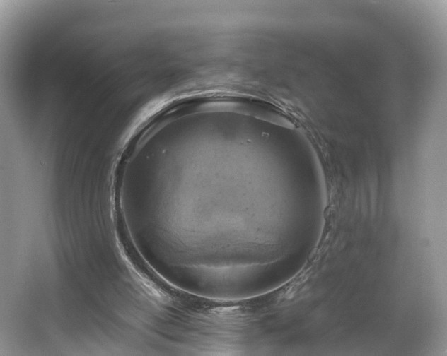 X0000067480054200604101240