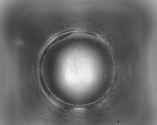 X0000067480055200604101240