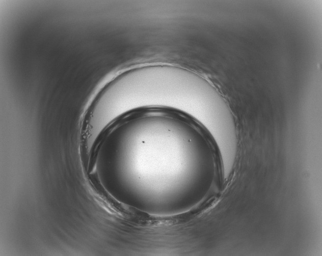 X0000067480056200604101240