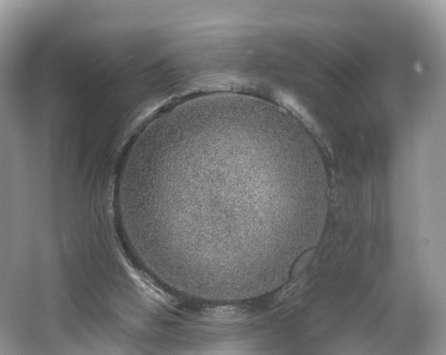 X0000067480058200604101240