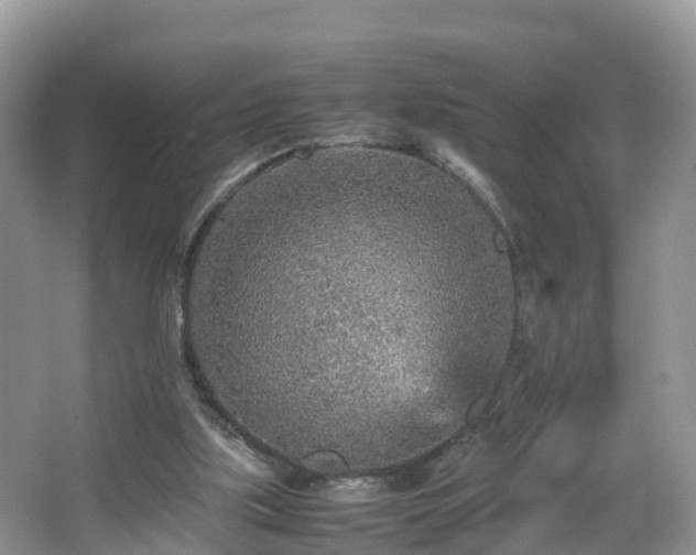 X0000067480059200604101240