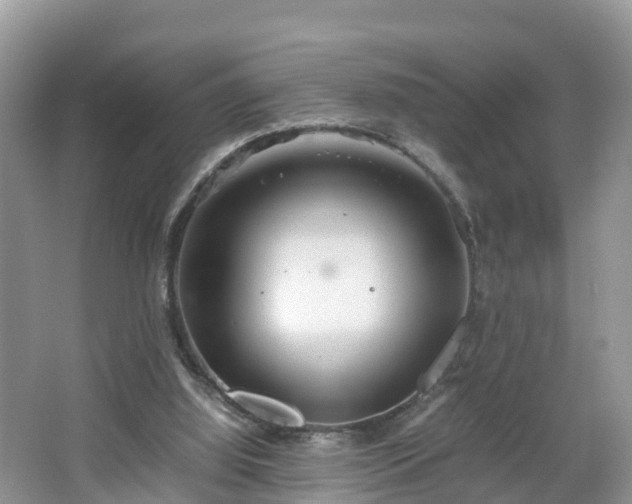 X0000067480060200604101240