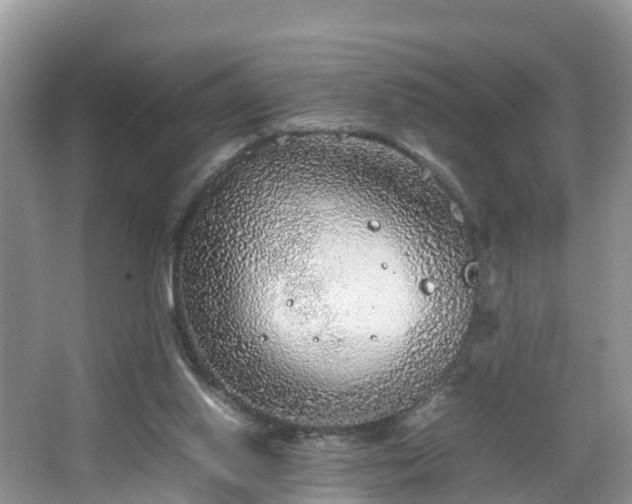 X0000067480062200604101240