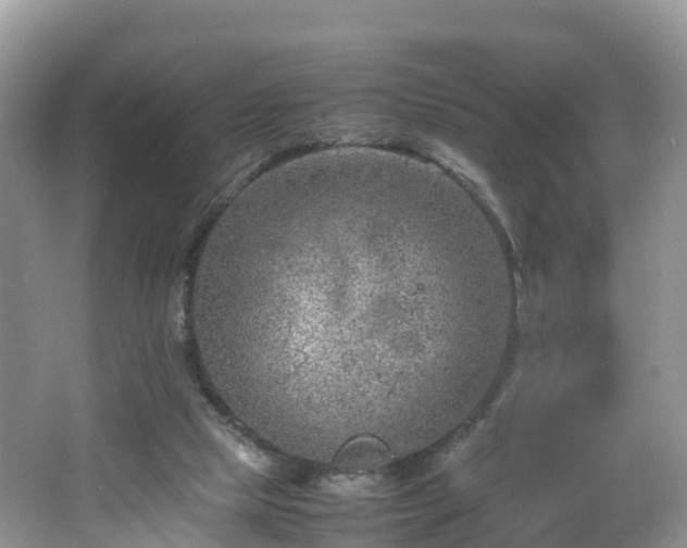 X0000067480065200604101240